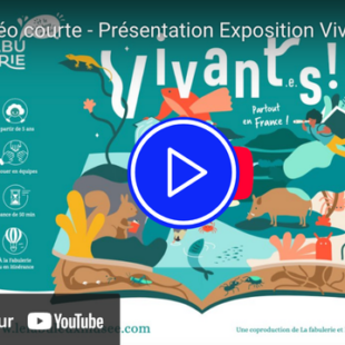 vidéo de présentation