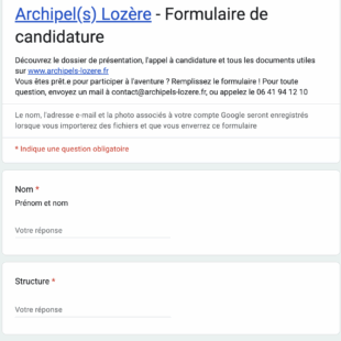 Le formulaire de candidature en ligne